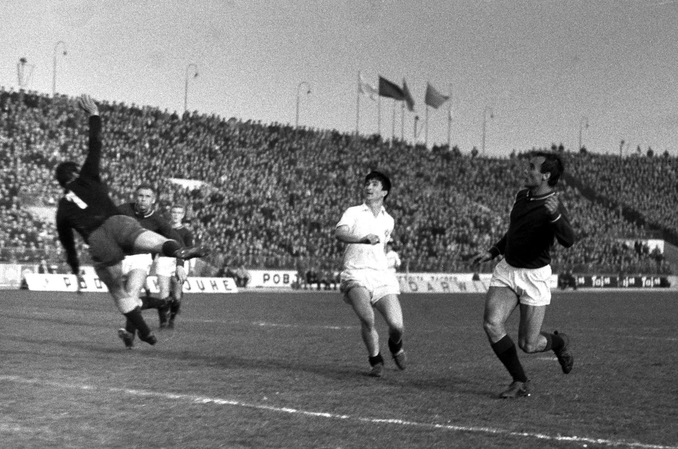 Partizan 1966