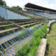 Ruinirani Omladinski stadion na Karaburmi. Beograd, 07.08.2020. foto: Nebojsa Parausic Fudbal, OFK Beograd, Total