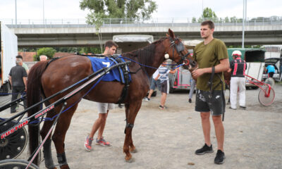 NIKOLA JOKIC kosarkas reprezentacije Srbije na Beogradskom hipodromu sa svojim konjem, Beograd 23.06.2019. godine Foto: MN PRESS Kosarka, Srbija, Hpodrom, Konj