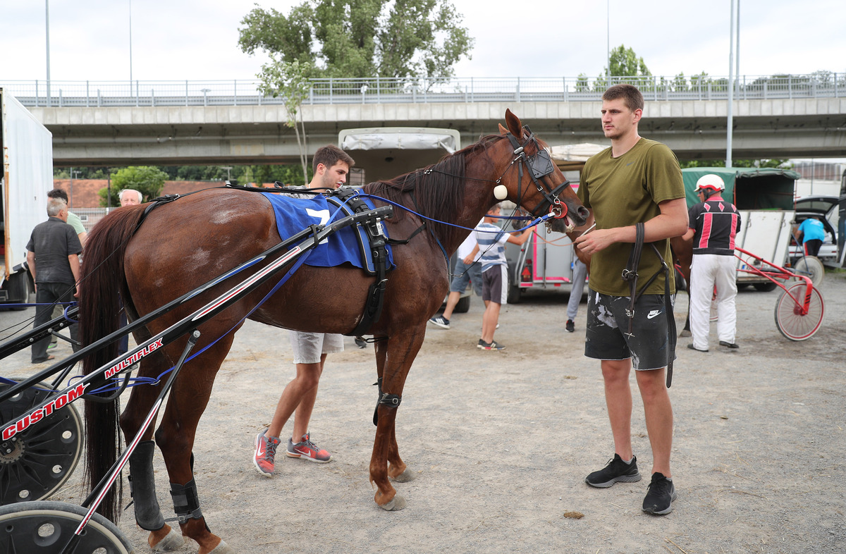 NIKOLA JOKIC kosarkas reprezentacije Srbije na Beogradskom hipodromu sa svojim konjem, Beograd 23.06.2019. godine Foto: MN PRESS Kosarka, Srbija, Hpodrom, Konj