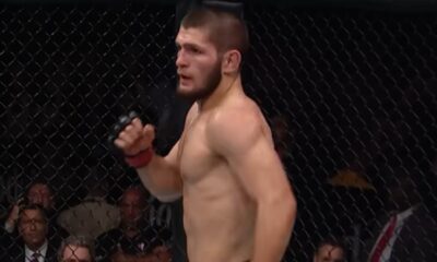 habib nurmagomedov