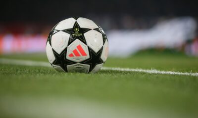 Crvena zvezda Liga šampiona