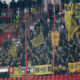 NAVIJACI fudbalera Jang Bojs Bern na utakmici UEFA Lige Sampiona protiv Crvene zvezde na stadionu Rajko Mitic, Beograd 04.10.2023. godine Foto: Marko Metlas Fudbal, Crvena zvezda, UEFA Liga Sampiona , Jang Bojs Bern